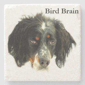 Llewellyn Setter Bird Brain Stenen Onderzetter