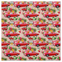 LM Corvair Car-koraal