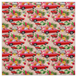 LM Corvair Car-koraal Stof