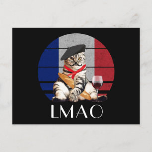 LMAO Le Meow Franse kat Briefkaart