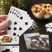 LMAO POKERKAARTEN (Insitu)