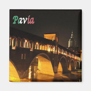 LMD045 PAVIA De overdekte brug bij nacht, Koelkast Magneet