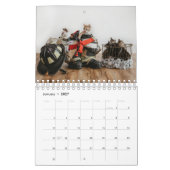 LMN Feline Rescue 2021-kalender Kalender (Jan 2027)