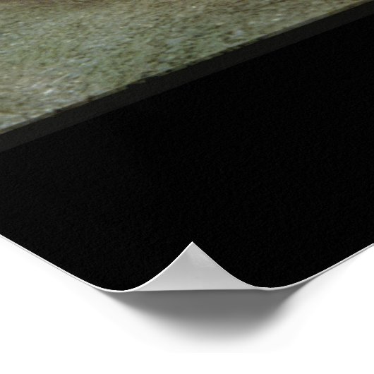 LMS klasse 5 blasten langs de Settle_Steam Trains Poster (Hoek)