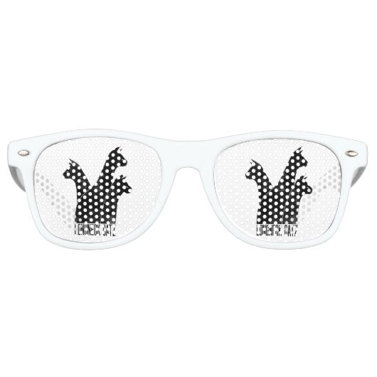 LNC Zonnebril (Voorkant)