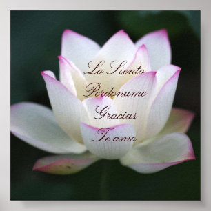 Lo Siento , Perdoname , Gracias , Te Amo Poster