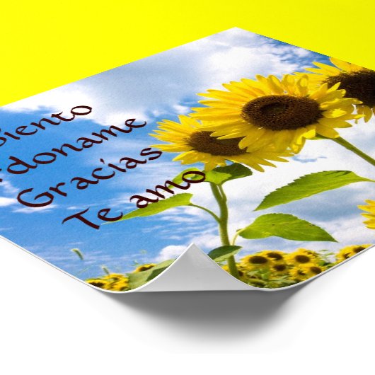 Lo Siento , Perdoname , Gracias , Te Amo Poster (Hoek)