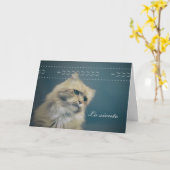 Lo Siento: Sympathie voor het verlies van een kat Kaart (Gele Bloem)