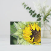 Lo! Zonnebloem is geboren Briefkaart (Staand voorkant)