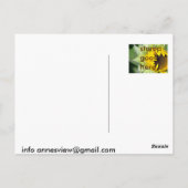 Lo! Zonnebloem is geboren Briefkaart (Achterkant)