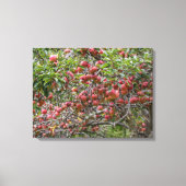 Loaded Apple-structuur Canvas Afdruk (Voorkant)