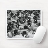 LOADS of Rams Sheep Black and White Muismat (Met muis)