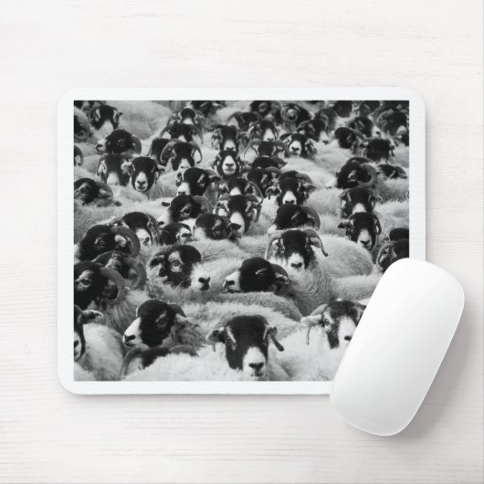 LOADS of Rams Sheep Black and White Muismat (Met muis)