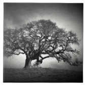 LOAN OAK TREE TEGELTJE (Voorkant)