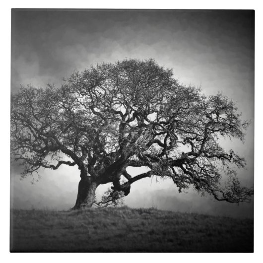 LOAN OAK TREE TEGELTJE (Voorkant)