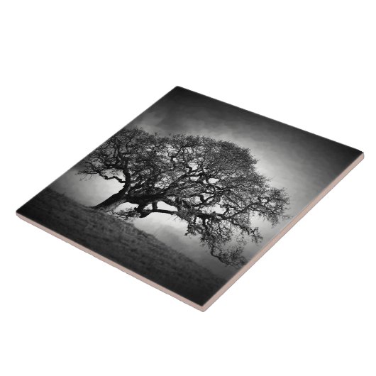 LOAN OAK TREE TEGELTJE (Zijkant)