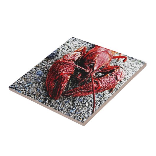 Lob papa tegeltje (Zijkant)