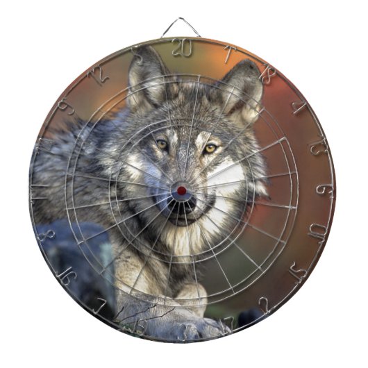 Lobo Gris Dartbord (Voorkant)