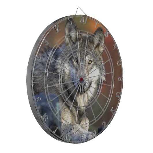 Lobo Gris Dartbord (Voorkant Links)