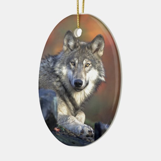 Lobo Gris Keramisch Ornament (Links)