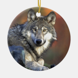 Lobo Gris Keramisch Ornament