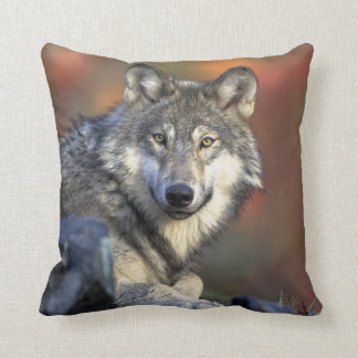 Lobo Gris Kussen