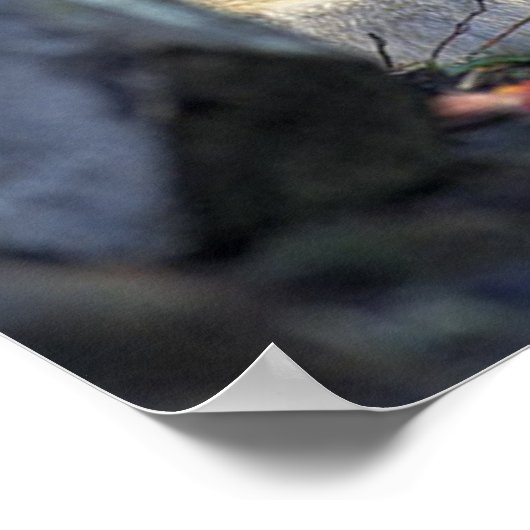 Lobo Gris Poster (Hoek)