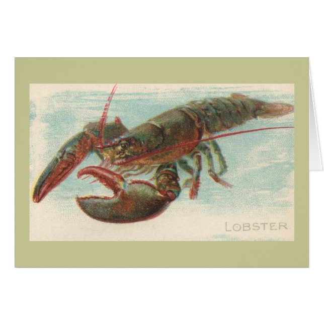 Lobster (Voorkant Horizontaal)