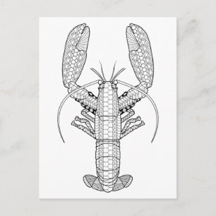 Lobster Adult Coloring Briefkaart