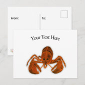 Lobster Ansichtkaart Briefkaart (Voorkant / Achterkant)