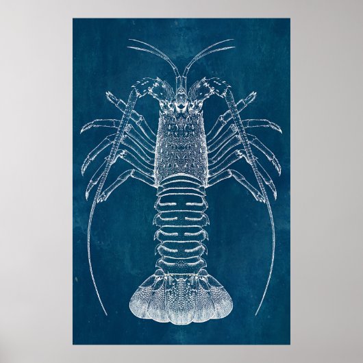 Lobster Blueprint Poster (Voorkant)