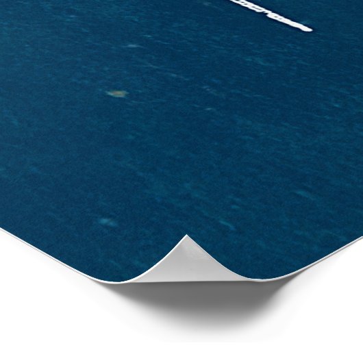 Lobster Blueprint Poster (Hoek)