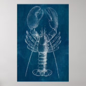 Lobster Blueprint Poster (Voorkant)