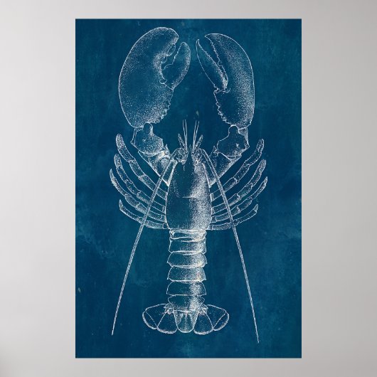 Lobster Blueprint Poster (Voorkant)