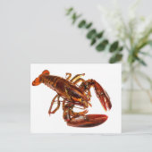 Lobster Briefkaart (Staand voorkant)