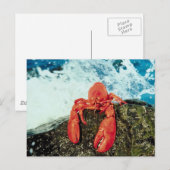Lobster Briefkaart (Voorkant / Achterkant)