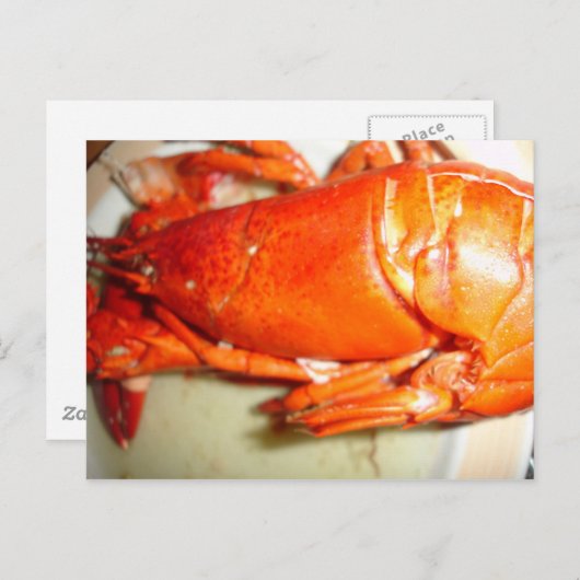Lobster Briefkaart (Voorkant / Achterkant)