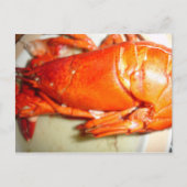 Lobster Briefkaart (Voorkant)