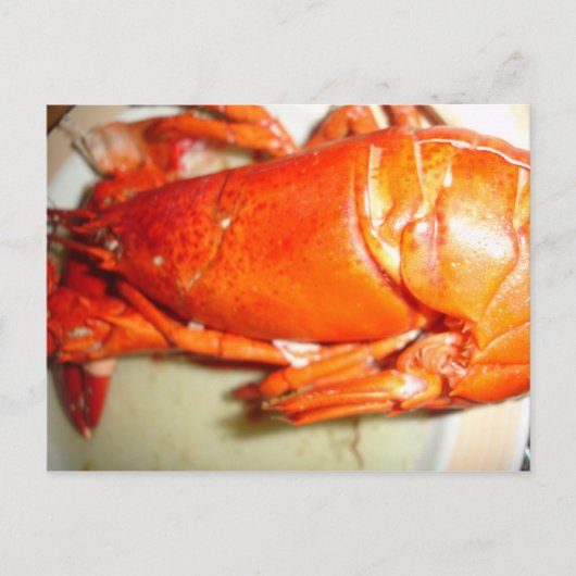 Lobster Briefkaart (Voorkant)