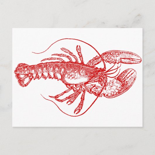 Lobster Briefkaart (Voorkant)