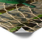 Lobster Buoys Poster (Hoek)