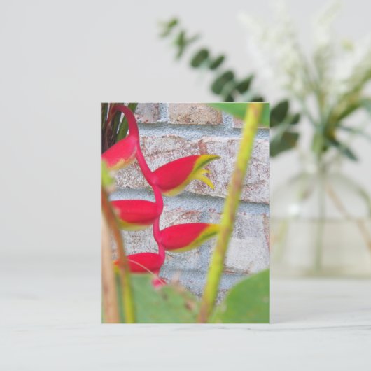Lobster Claw Flower Heliconia Rostrata Briefkaart (Staand voorkant)