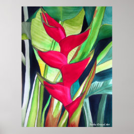 Lobster Claw Heliconia tropische waterverf Poster