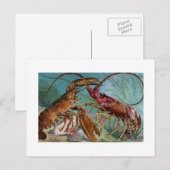 Lobster en Langoustine Briefkaart (Voorkant / Achterkant)