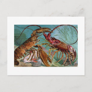 Lobster en Langoustine Briefkaart