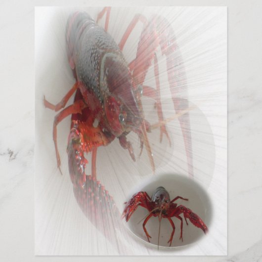 Lobster Flyer (Achterkant)