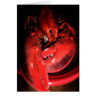 Lobster fotografie