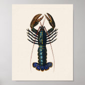 Lobster - Homard Commun Poster (Voorkant)