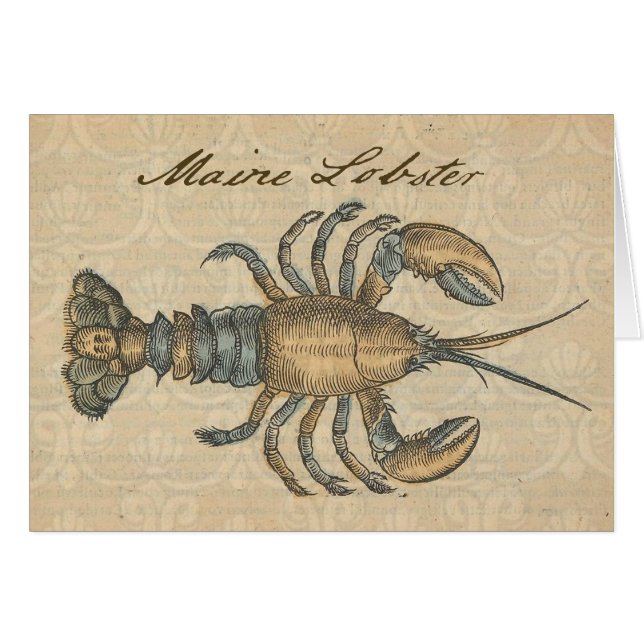 Lobster Illustration Antiek Maine Seafood (Voorkant Horizontaal)