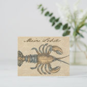 Lobster Illustration Antiek Maine Seafood Briefkaart (Staand voorkant)